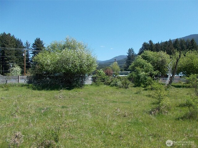 01,2,3 Tumac Street W, Packwood, WA 98361 - photo 4