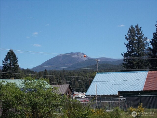 01,2,3 Tumac Street W, Packwood, WA 98361 - photo 8
