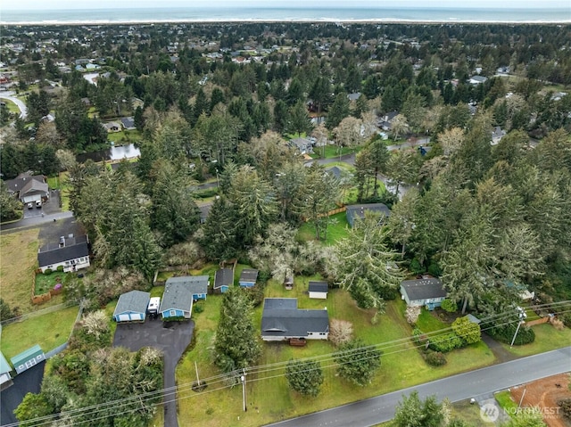 drone / aerial view