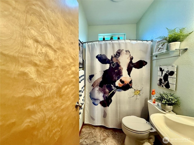 bathroom featuring a shower with curtain, toilet, and a sink