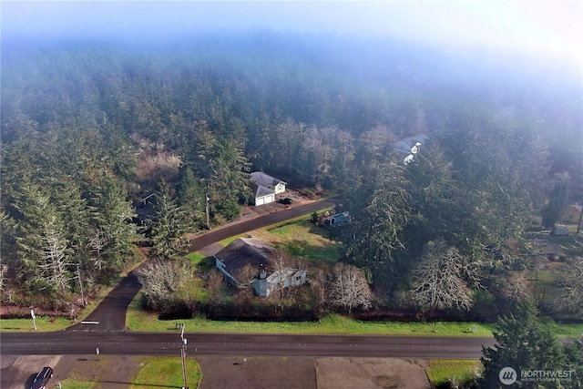 bird's eye view featuring a view of trees