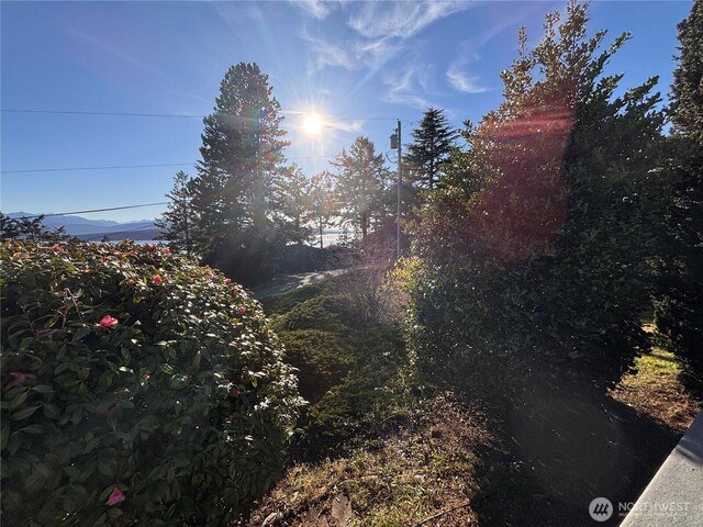 141 Sunset Blvd, Port Townsend, WA 98368 - photo 32