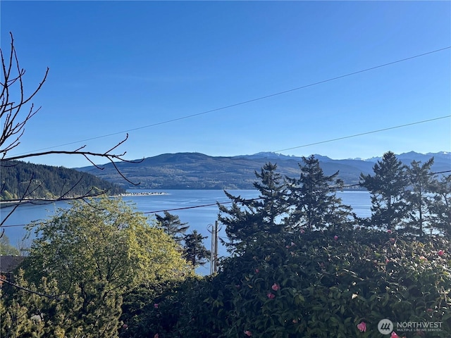 141 Sunset Blvd, Port Townsend, WA 98368 - photo 2