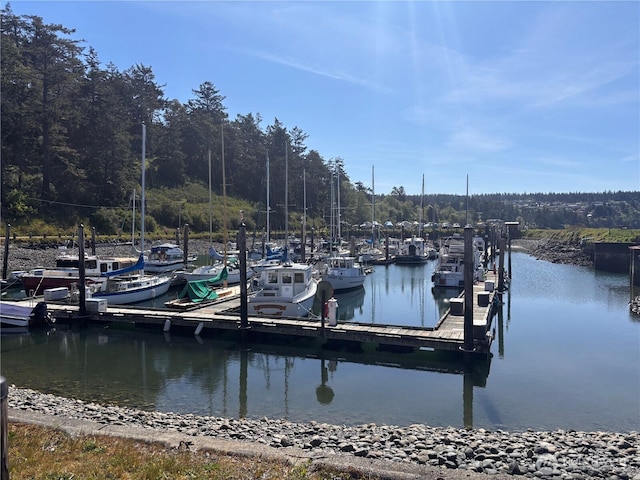 141 Sunset Blvd, Port Townsend, WA 98368 - photo 40