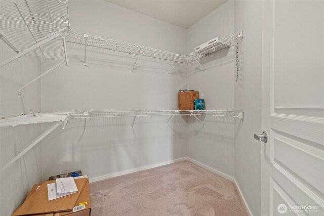 109 2nd St S Unit 337, Kirkland, WA 98033 - spacious closet featuring carpet floors