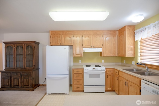 kitchen featuring white appliances, light brown cabinetry, under cabinet range hood, light countertops, and a sink