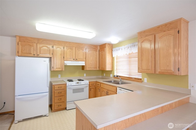 kitchen with white appliances, light floors, light brown cabinetry, under cabinet range hood, and a sink