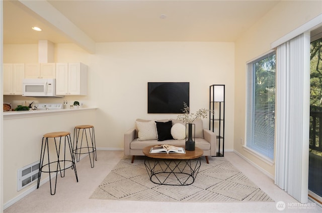 3800 NE Sunset Blvd Unit B101, Renton, WA 98056 - photo 9