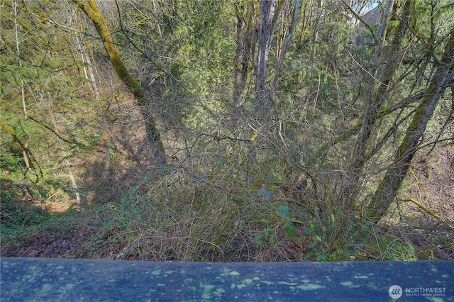 3800 NE Sunset Blvd Unit B101, Renton, WA 98056 - photo 29