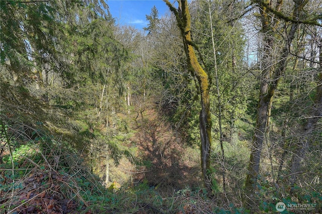 3800 NE Sunset Blvd Unit B101, Renton, WA 98056 - photo 33