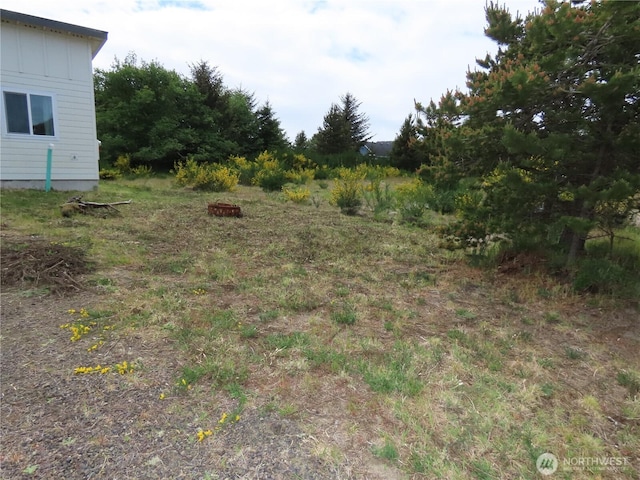 943 Silver King Ave SE, Ocean Shores, WA 98569 - view of yard
