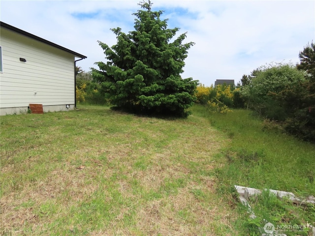 943 Silver King Ave SE, Ocean Shores, WA 98569 - view of green lawn