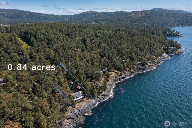 681 Smugglers Cove Rd, Friday Harbor, WA 98250 - bird's eye view with a forest view and a water and mountain view