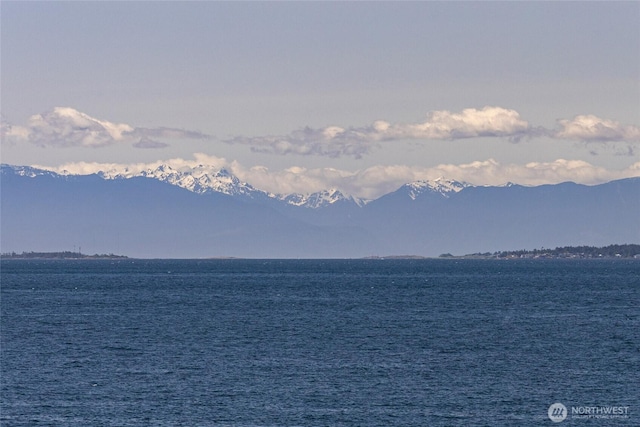 681 Smugglers Cove Rd, Friday Harbor, WA 98250 - property view of water with a mountain view