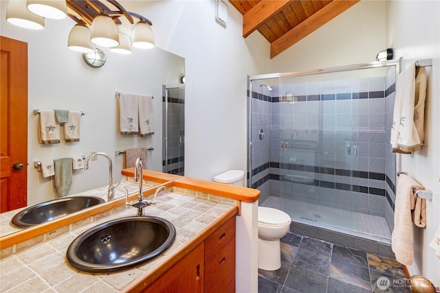 681 Smugglers Cove Rd, Friday Harbor, WA 98250 - bathroom with toilet, wooden ceiling, vaulted ceiling with beams, and a shower stall