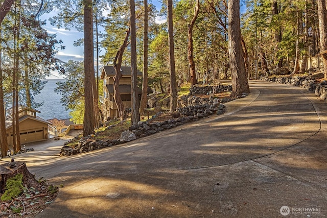 681 Smugglers Cove Rd, Friday Harbor, WA 98250 - view of home's community with driveway, a water view, and a garage