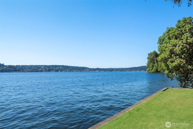 view of water feature