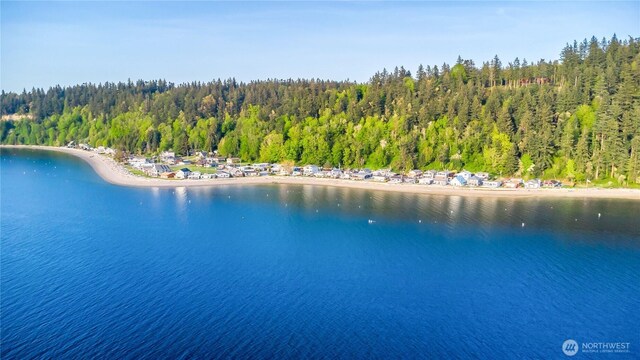 bird's eye view featuring a water view and a forest view