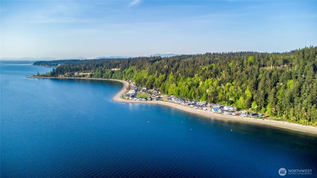 birds eye view of property with a water view and a wooded view