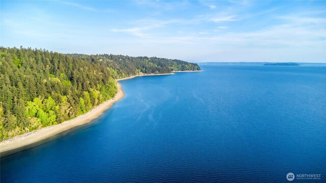 property view of water featuring a view of trees