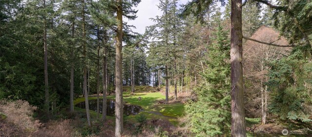 view of nature featuring a wooded view