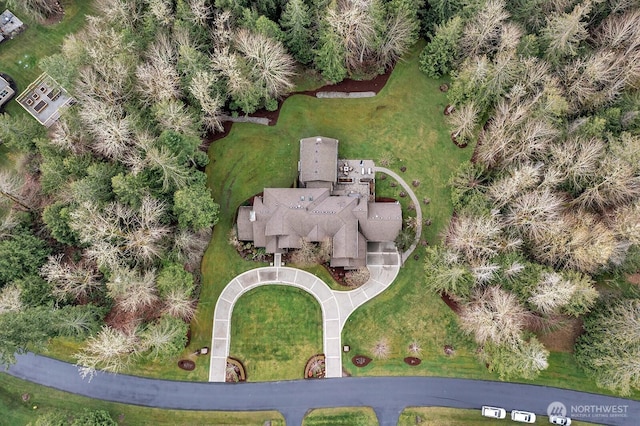 drone / aerial view