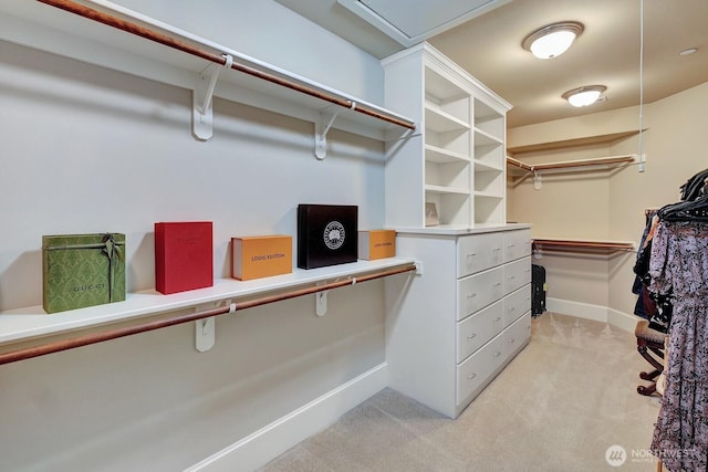 spacious closet with light colored carpet