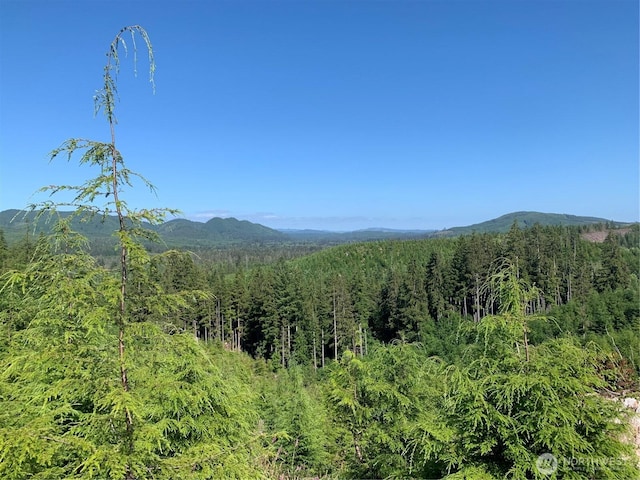 285 Parpala Rd, Naselle, WA 98638 - photo 7