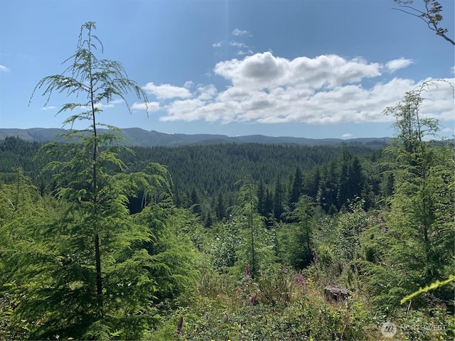 285 Parpala Rd, Naselle, WA 98638 - photo 12