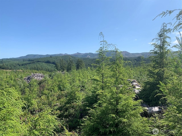 285 Parpala Rd, Naselle, WA 98638 - photo 13