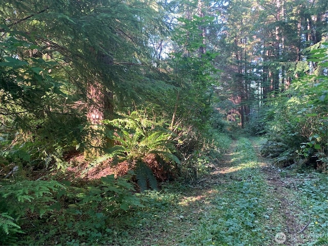 285 Parpala Rd, Naselle, WA 98638 - photo 15