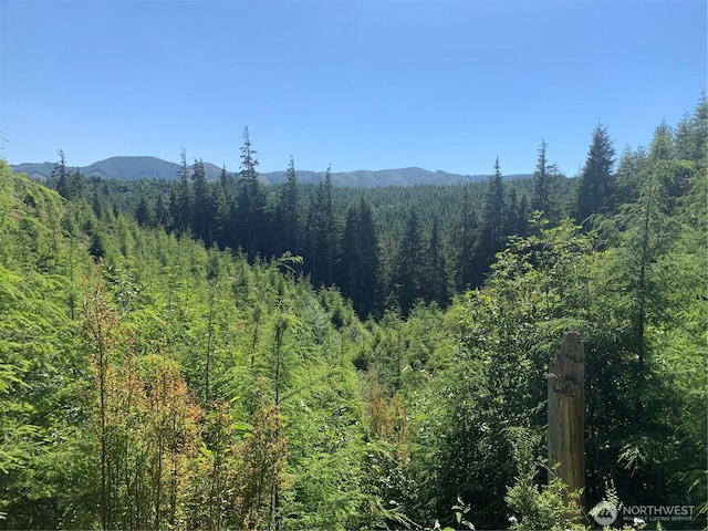 285 Parpala Rd, Naselle, WA 98638 - photo 17