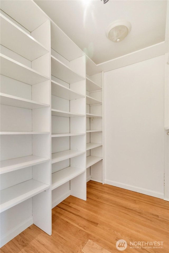 interior space with wood finished floors