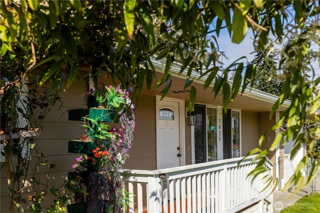view of exterior entry with a porch