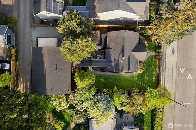 drone / aerial view