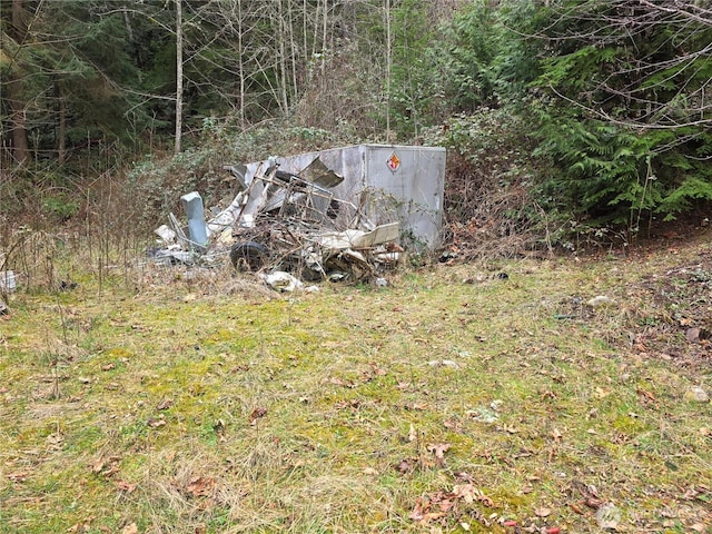 7801 NE Tolt River Rd NE, Carnation, WA 98014 - photo 2