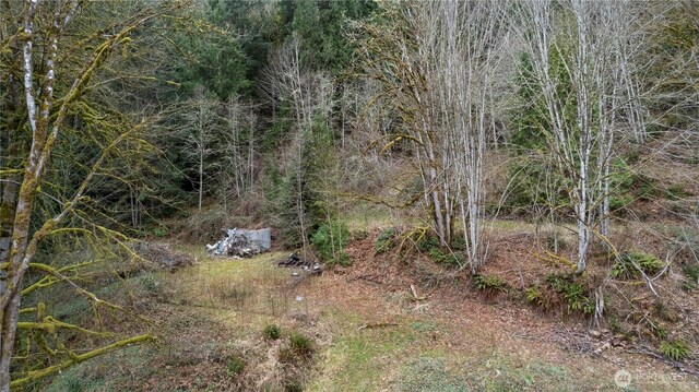 7801 NE Tolt River Rd NE, Carnation, WA 98014 - photo 3