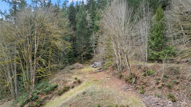 7801 NE Tolt River Rd NE, Carnation, WA 98014 - photo 4