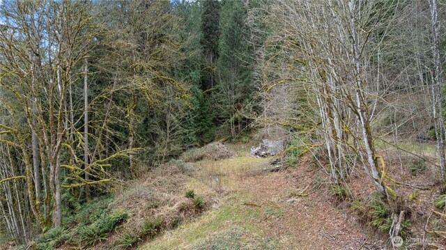 7801 NE Tolt River Rd NE, Carnation, WA 98014 - photo 5