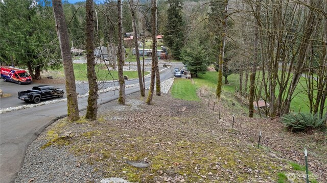 7801 NE Tolt River Rd NE, Carnation, WA 98014 - photo 7