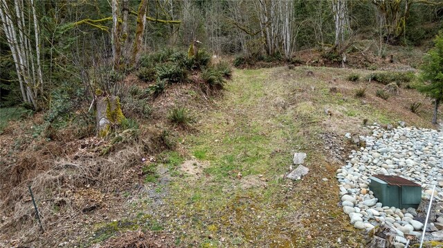 7801 NE Tolt River Rd NE, Carnation, WA 98014 - photo 8