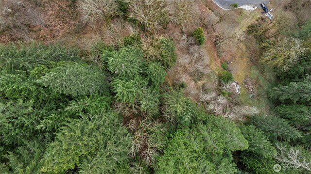 7801 NE Tolt River Rd NE, Carnation, WA 98014 - photo 12