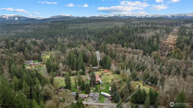 7801 NE Tolt River Rd NE, Carnation, WA 98014 - photo 13