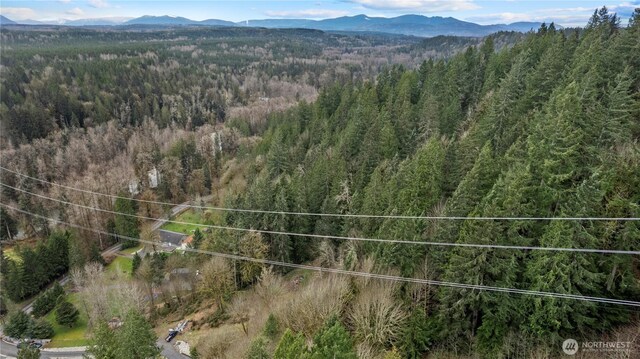 7801 NE Tolt River Rd NE, Carnation, WA 98014 - photo 14