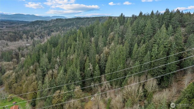 7801 NE Tolt River Rd NE, Carnation, WA 98014 - photo 15