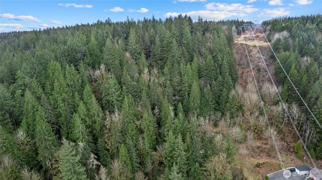 7801 NE Tolt River Rd NE, Carnation, WA 98014 - photo 17
