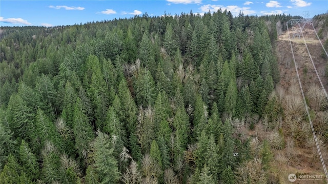 7801 NE Tolt River Rd NE, Carnation, WA 98014 - photo 18
