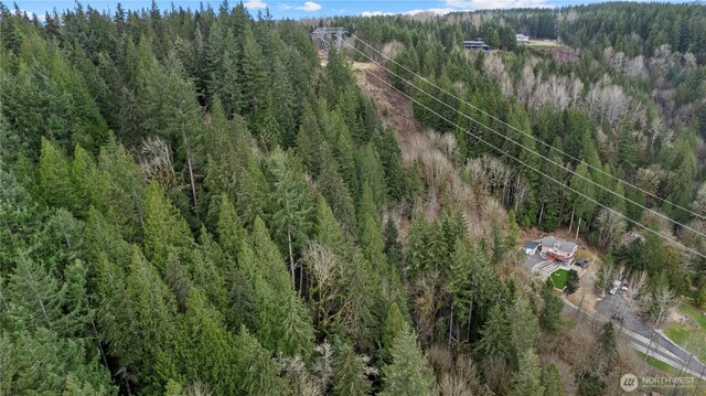 7801 NE Tolt River Rd NE, Carnation, WA 98014 - photo 19