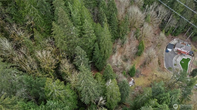 7801 NE Tolt River Rd NE, Carnation, WA 98014 - photo 20