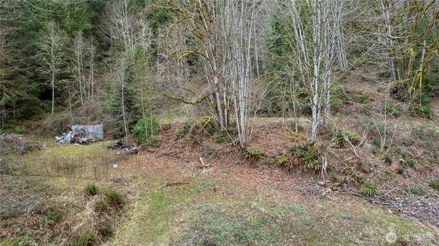 7801 NE Tolt River Rd NE, Carnation, WA 98014 - photo 21
